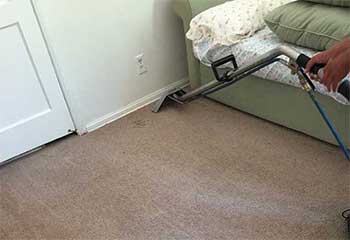 Professional Carpet Cleaning Near Me - Los Angeles
